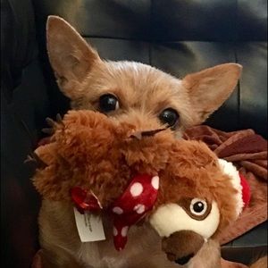 Meet your Posher, Linda